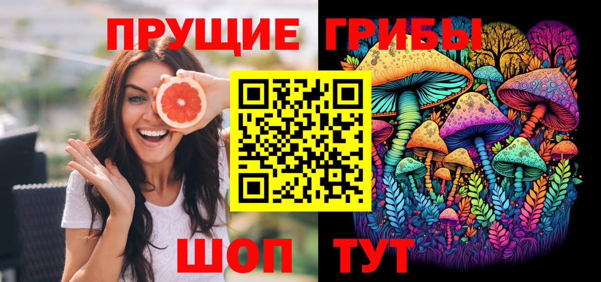 Псилоцибиновые грибы Cubensis Владикавказ