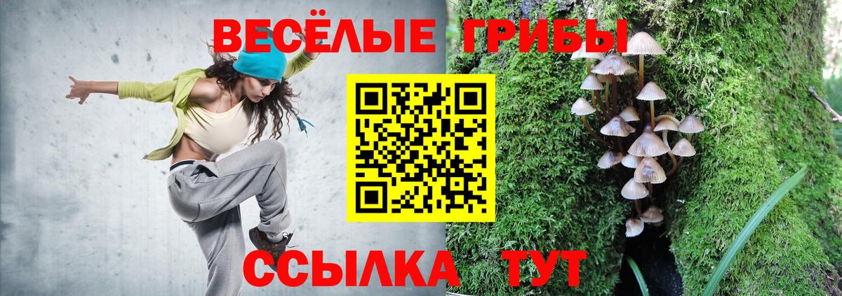 Псилоцибиновые грибы Magic Shrooms  Вход с VPN  Владикавказ  Галлюциногенные грибы Cubensis 